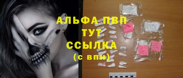 Альфа ПВП Магадан
