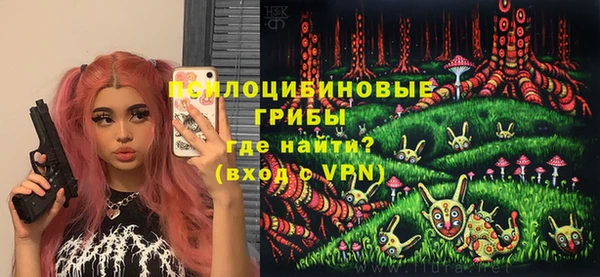 Альфа ПВП Магадан
