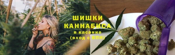 Альфа ПВП Магадан