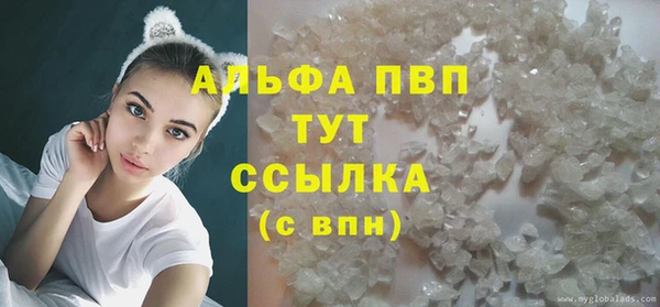 Альфа ПВП Магадан