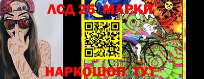 мяу мяу мука Гусь-Хрустальный
