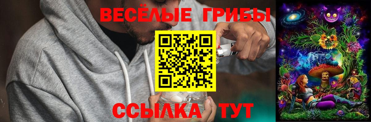Галлюциногенные грибы прущие грибы Рубцовск